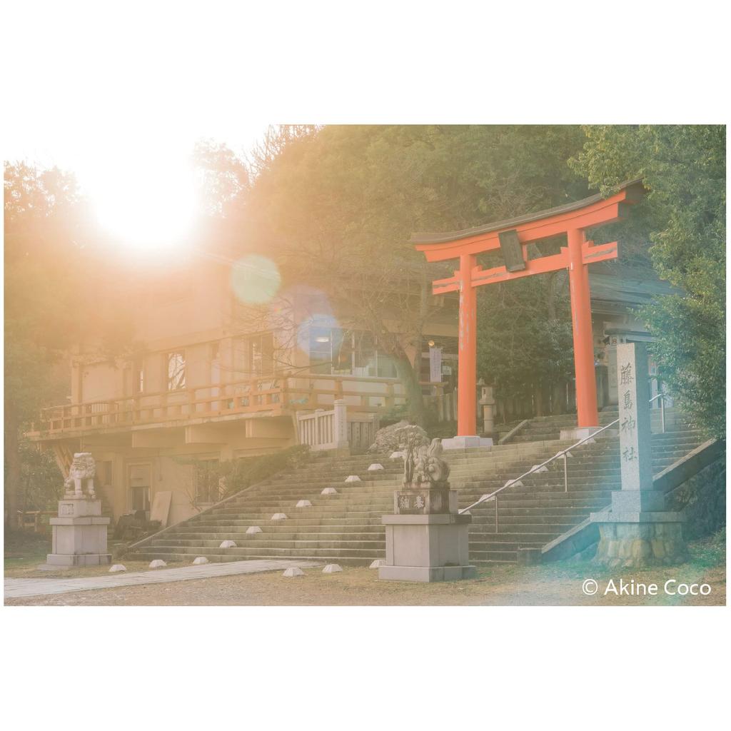 Kenko Soft Filter Nostalgic Tone Orange 52mm Soft Effect Like a Scene from Anime Made In Japan 005927 Effect/Color