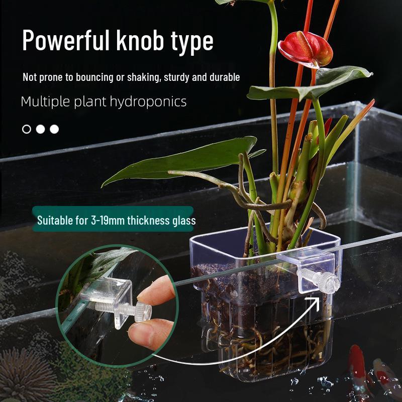 Wall-Mounted Aquatic Plant Basket for Fish Tanks - Hydroponic Landscaping Decoration.