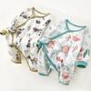 Newborn Baby Onesies: Spring & Autumn Pure Cotton Underwear for 0-3 Months