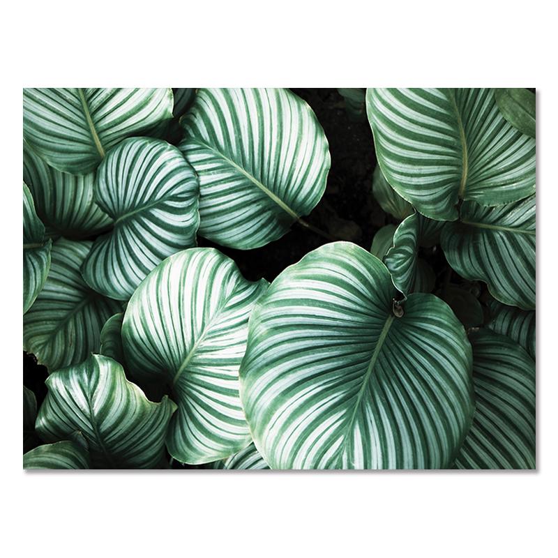 Абстрактное зеленое растение, природа, холст, живопись, скандинавское настенное искусство, листья, постеры, принты, цитаты, картинки для гостиной, домашний декор