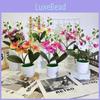 Butterfly Orchid 3d Faux Plant Decor With Plastic Material For Home And Event Use