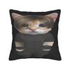 L-Leon Scott Kennedy Pillow Cover Novelty Pillow Case For Chair Sofa Home Decor Comfy Pillowcases Gift