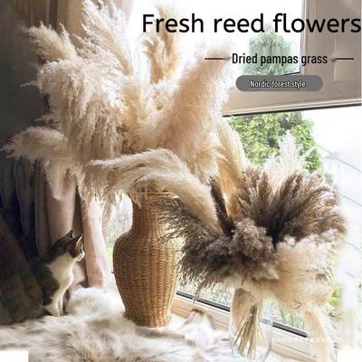 Домашний декор – Декоративные цветы и венки