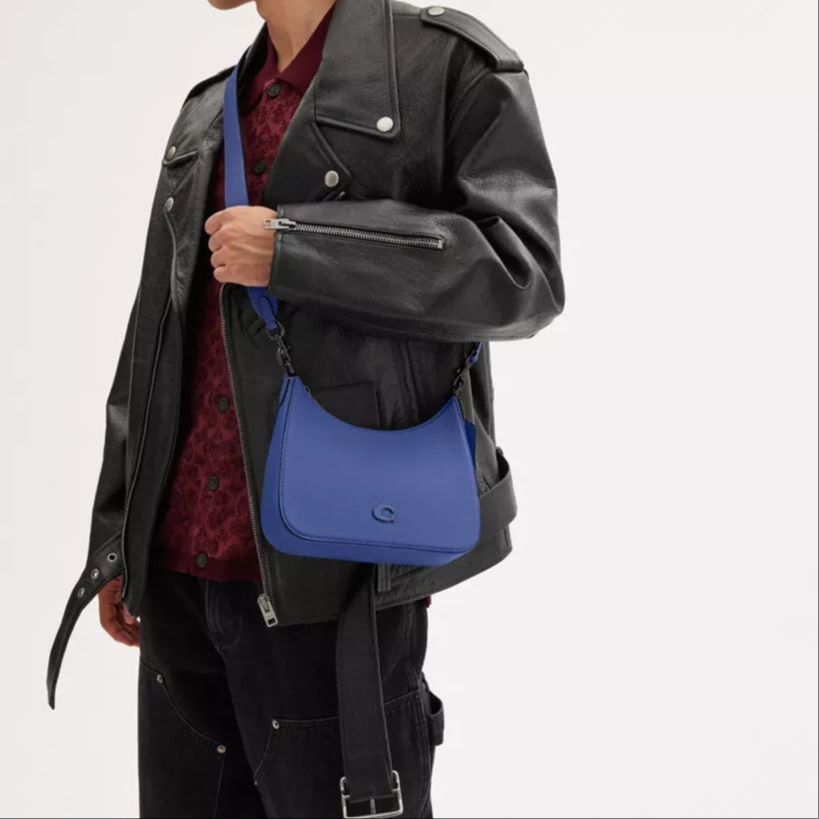 Coach Сумка-хобо 22 на молнии из покрытого канваса и кожи, сумка-тоут через плечо, маленькие женские сумки, Черника CJ842-BLB