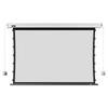 IN&VI DFL Nano Soft White Electric Projection Screen