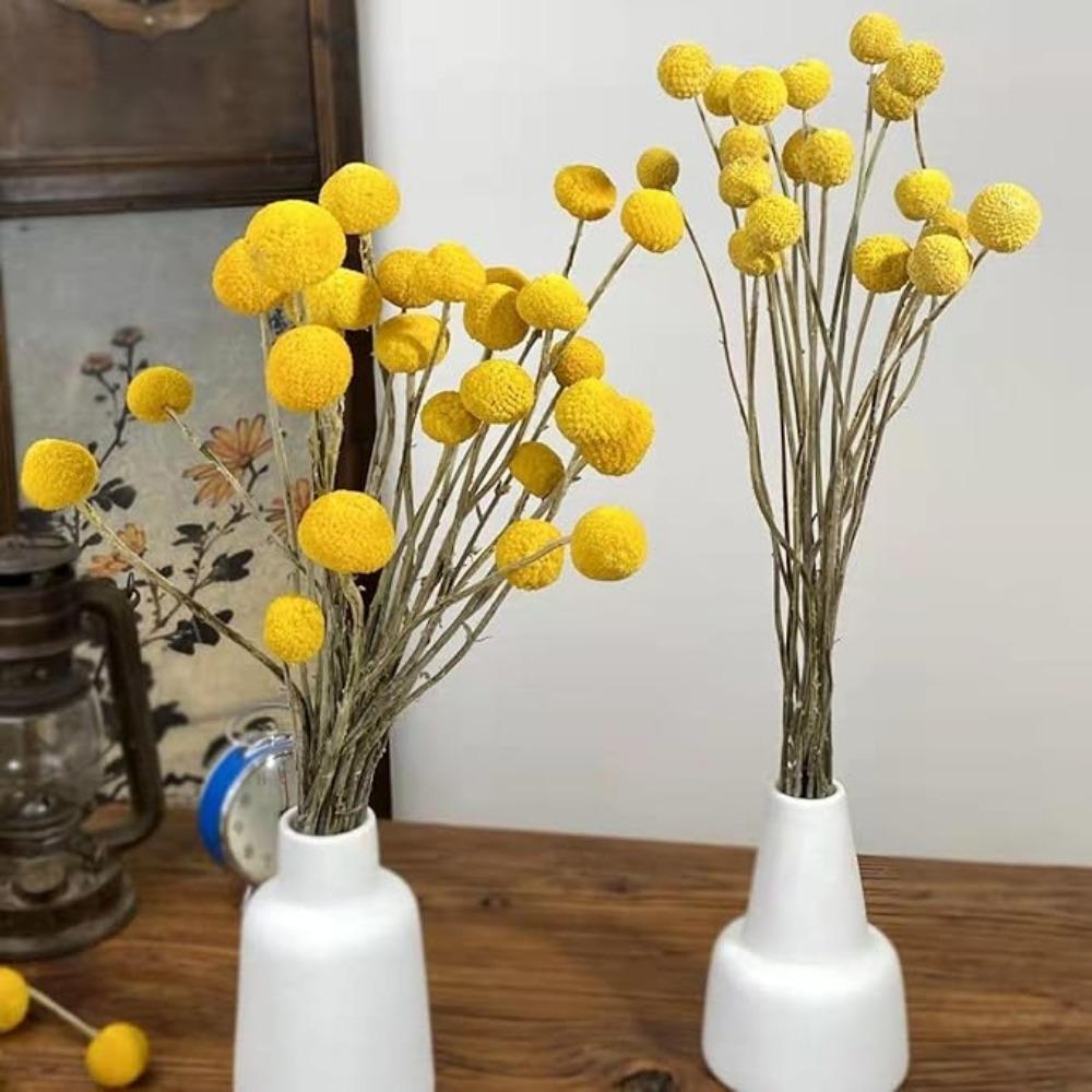 30PCS Natural Yellow Craspedia Billy Balls, Yellow Billy Buttons Balls Bouquet Dried Yellow Flowers for Home Decor Photo Props DIY Wedding Decoration