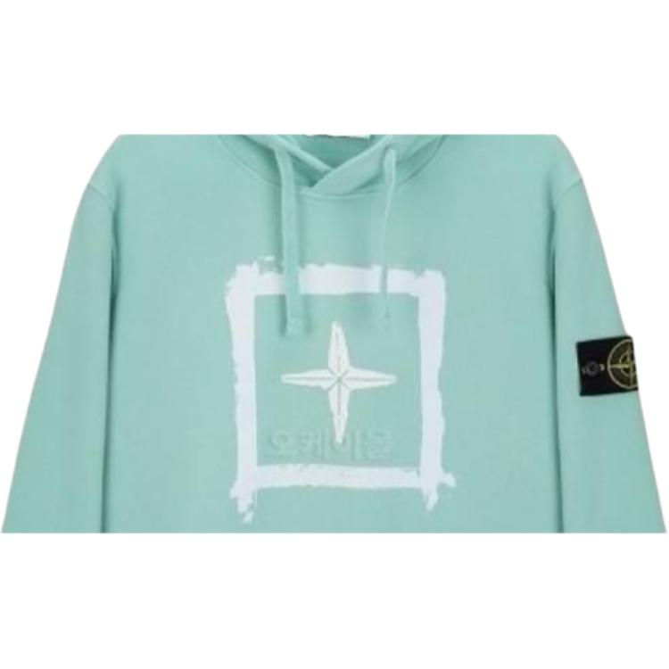 STONE ISLAND Мужская толстовка с капюшоном и длинным рукавом с принтом логотипа Зеленая 741565894-V0044