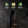 Carlton London Incense Eau de parfum | Премиальные стойкие и освежающие духи для мужчин - 100 мл | Роскошный спрей для тела для мужчин