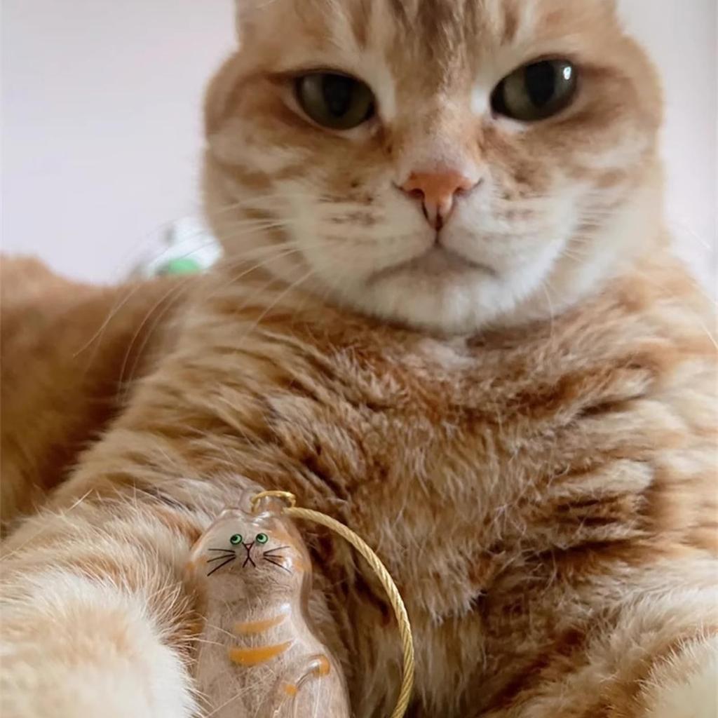 Прозрачная коробка для хранения кошачьей шерсти, подвесное украшение, капсула для хранения кошачьей шерсти в виде крученого яйца