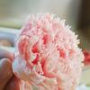 8Pcs Preserved Flower Head Carnation Decorative Dried Flower Mothers Day Gift Box Flower for Mother