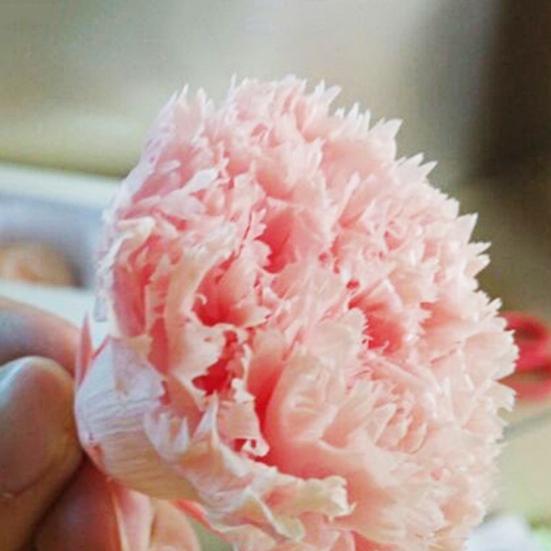 8Pcs Preserved Flower Head Carnation Decorative Dried Flower Mothers Day Gift Box Flower for Mother