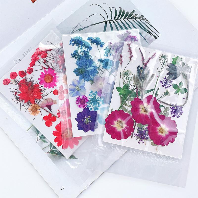 Прессованные сушеные цветы для наполнителей из смолы для изготовления ювелирных изделий. Настоящие натуральные растительные цветы для украшения ногтей.