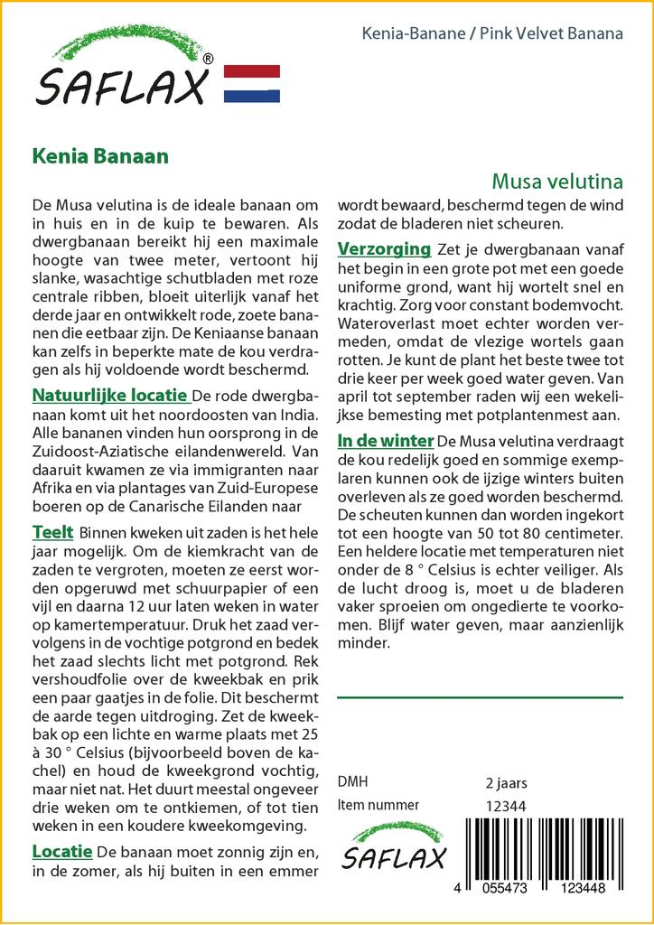 SAFLAX Подарочный набор - Банан Pink Velvet - 8 семян - С подарочной коробкой, карточкой, этикеткой и субстратом для горшков - Musa velutina