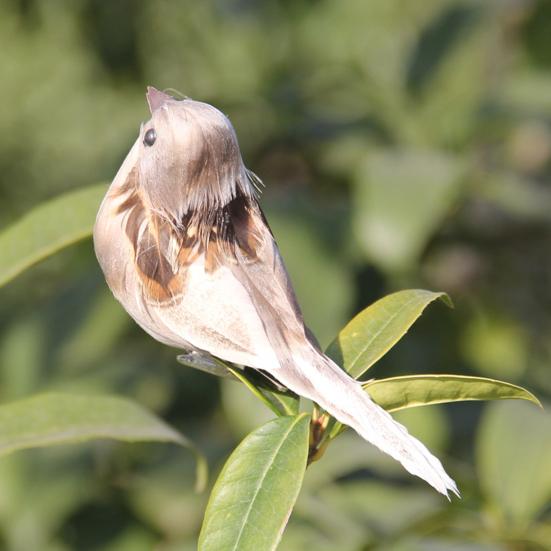Воробей, 3D глаза, макет сцены, тонкое мастерство, свадебное уличное искусственное животное, птица, реквизит для дома, подделка