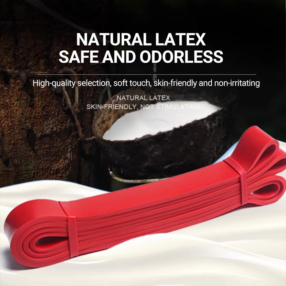 Resistance Bands Pull Up Assist Bands - Workout Bands Eexercise Bands Long Resistance Bands Kit for Working Out Fitness Training