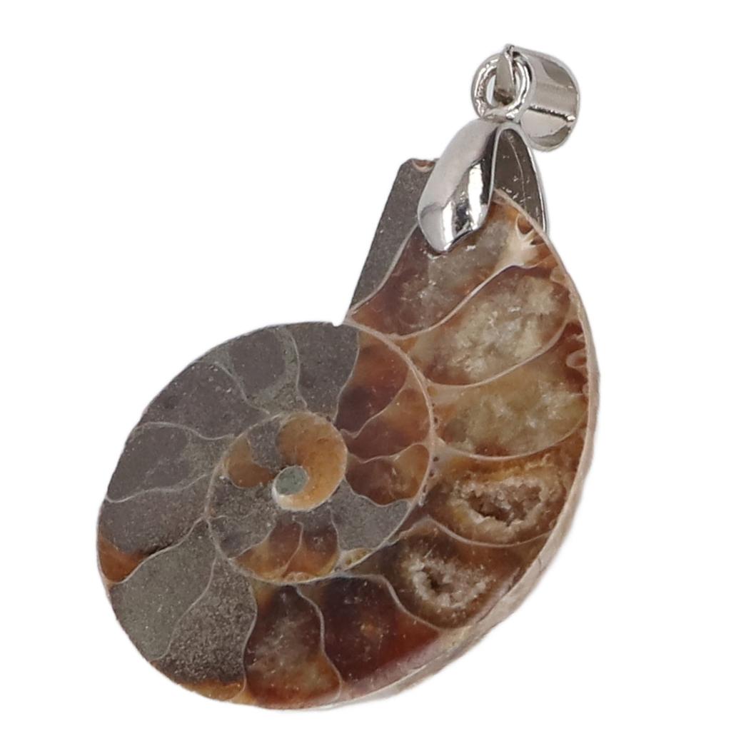 Подвеска из ракушки аммонита, ручная работа, винтажная подвеска из натурального аммонита для женщин и мужчин, подарок