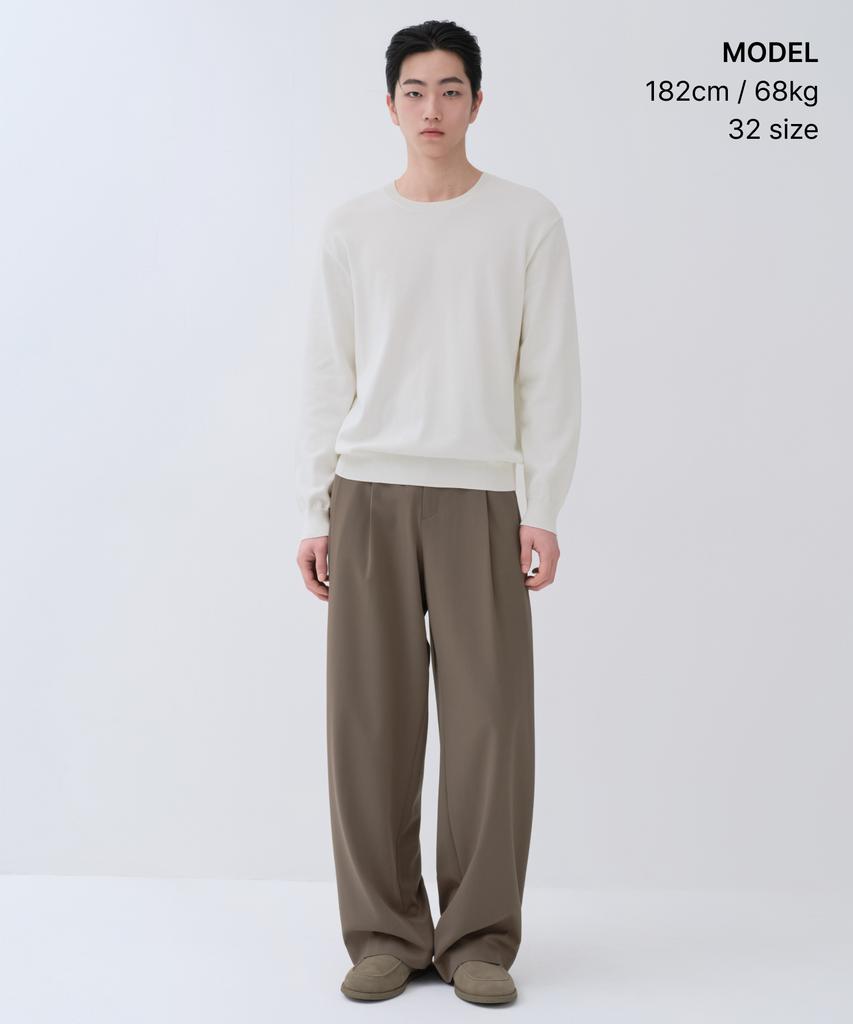 MUSINSA STANDARD Extra Wide Two-Puck Hidden Elastic Waist Slacks [Dusty Beige]