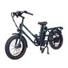 GOGOBEST GF200 City Electric Bicycle For Adult 500W Motor 48V 15.6Ah Battery Off-Road Electric Bike With Double Seats 20 Inch Fat Tires E-Bike