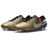 Nike Tiempo Legend 10 Elite Золотое касание  FJ2515-900