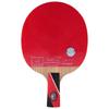 Профессиональная 8-звездочная карбоновая ракетка для настольного тенниса DOUBLE FISH