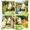 Gravity Fed Automatic Bird Water Dispenser Drip Free Hanging Waterer Bottle  Guinea Pig