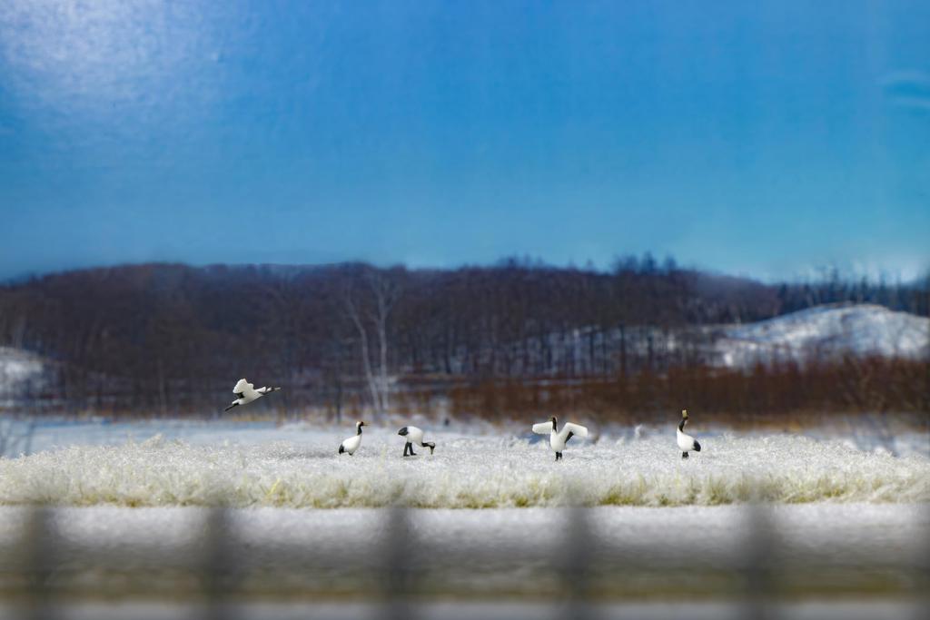 KATO Crane Diorama Supplies 1/150 Red-crowned 24-712