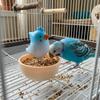 Anti Spill Bird Food Bowl Large Capacity Pet Feeding Cup Practical Food Water Dish  Small Pet Bird