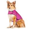 Breathable Dog Calming Shirt Reflective Pet Soothing Clothes Dog Coat Dog Anxiety Jacket  Thunder