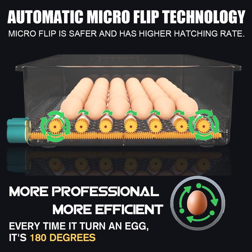 36/16/12 инкубатор для яиц, брудер, инкубатор для птиц, перепелов, цыплят, инкубатор для птиц, инкубатор, цифровой автоматический инструмент для инкубации на ферме