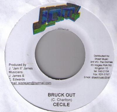 7-дюймовая пластинка CE'CILE / JOVI ROCKWELL - Bruck Out / Man Tixx NONE Jam 2 Records 2006 Ямайка Регги, Ска и Даб Б/У