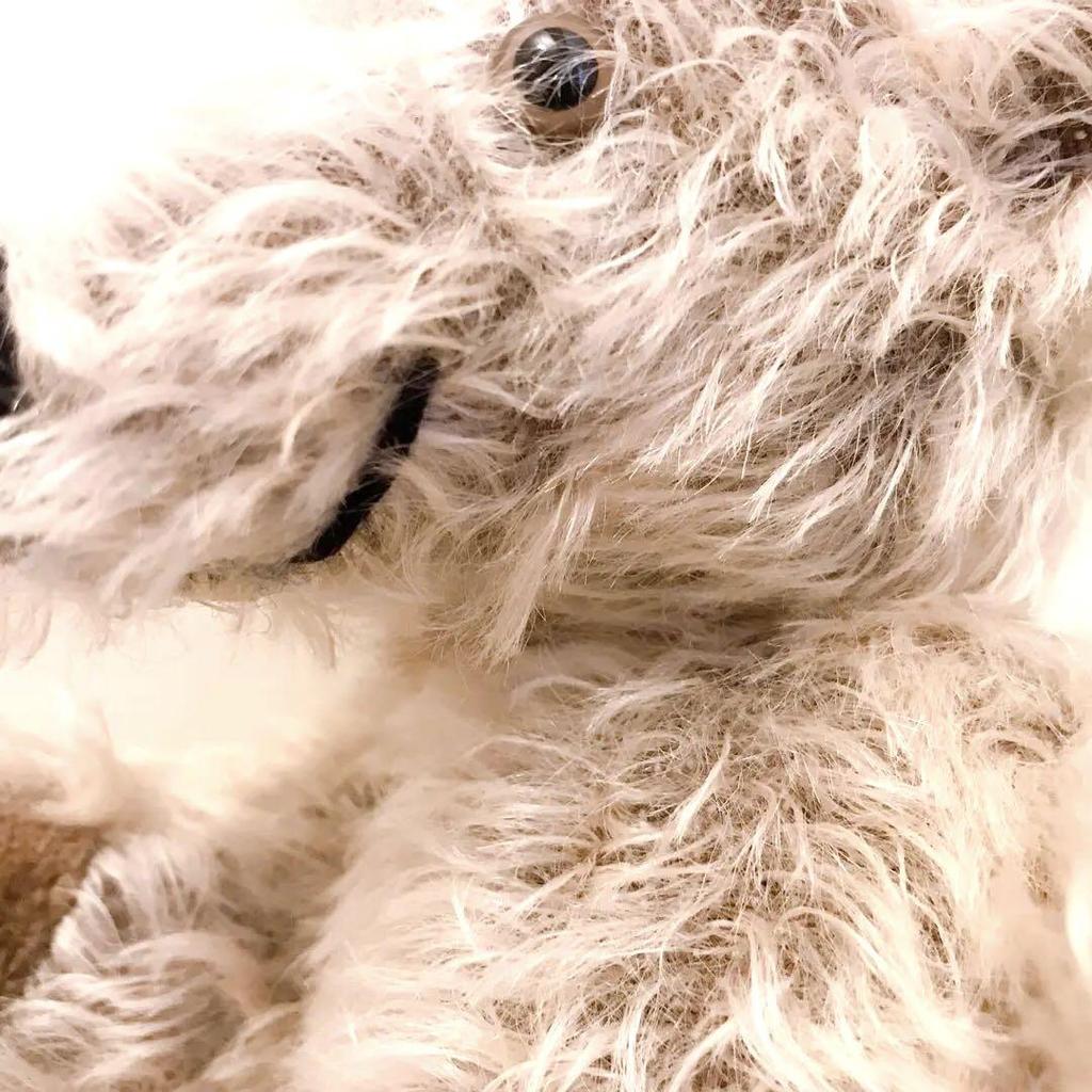 [USED] German Callisto Teddy Bear, Made in Germany