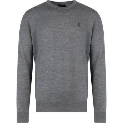 Polo FW22 сплошной логотип вышитый круглый вырез свитер мужской свитер серый 710876846-006