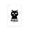 Tokyo Revengers from Keisuke Peke J Pass Case ~Letter Baji~ 1-Pocket