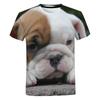 Футболка с изображением бульдога для женщин и мужчин, футболки с рисунком животных, милые собаки, 3D краска, повседневные футболки с короткими рукавами в стиле Харадзюку