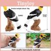 Wildlife Animal Model Solid Plastic Parrot Bird Display Figure For Kids Playroom Decor