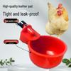Automatic Poultry Water Feeder with Bucket for Chicken, Duck, Goose & Bird