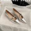 Pointed Toe Women Shoes 2024 Spring New Silver Mary Jane Shoes Comfortable Low Heel Dress Shoes Simple Versatile Women's Pumps