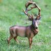 Realistic Davidianus Elaphurus Sculpture Christmas Ornament For Kids And Gifts