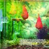 Water Grass Regulator Atomizer Aquarium Accessories CO2 Diffuser Bubble Counter CO2 Refiner