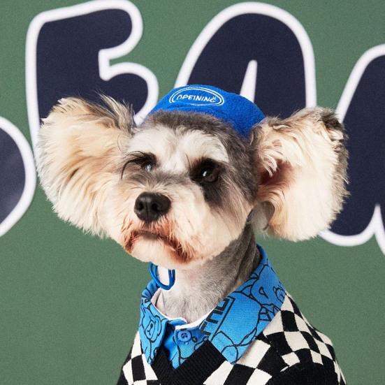 Шапка для щенка с шнурком, сохраняющая тепло, фланелевый регулируемый берет, головной убор для ежедневного ношения собаки