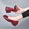 Fashion Soft Pu Leather 2025 Women's Low Heel Shoes Shallow Mouth All-match Comfortable Pumps Thick Heels Ladies Work Small Leather Shoe