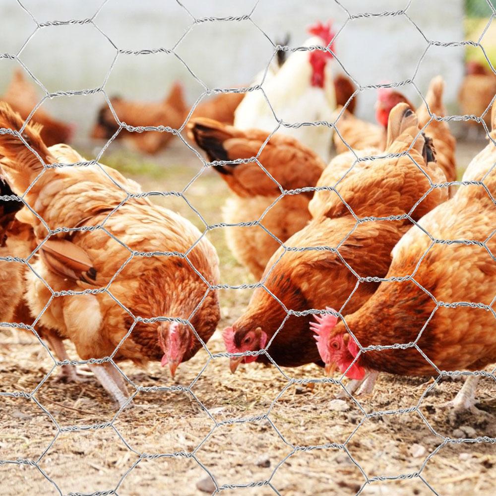 Металлическая сетка для ограждения кур, кроликов, домашней птицы, сетка для защиты урожая, шестиугольная оцинкованная сетка, аксессуары для фермы и сада