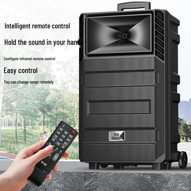 Suoai 12-inch Portable Bluetooth KTV Speaker