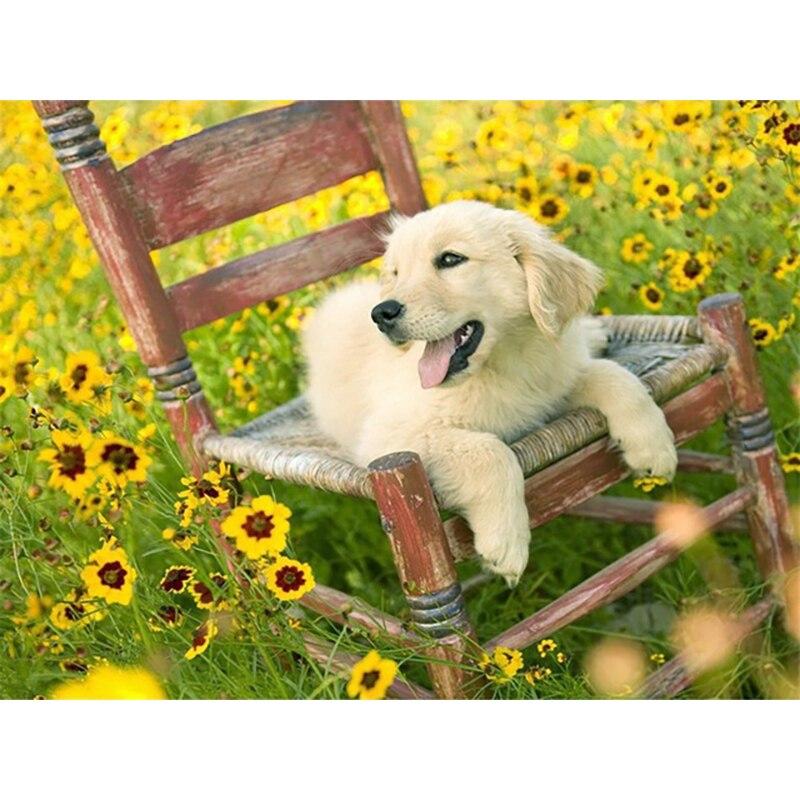 Новый 5D DIY алмазная живопись собака цветок Алмазная вышивка животное вышивка крестиком полная круглая дрель домашний декор ручной художественный подарок