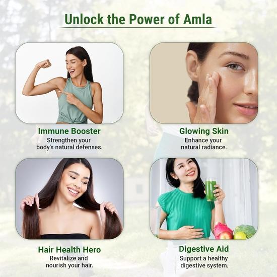 Aarshaveda Органический порошок амлы - 100% чистый и натуральный - способствует росту волос и ухаживает за кожей головы с витамином С, (200 г)