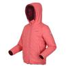 Regatta Childrens/Kids Kyrell Zebra Print Reversible Jacket