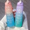 1000ml Sports Water Bottle Colorful Frosted Water Cup Large Capacity Plastic Bottles Outdoor Sport Water Bottle Drinkware