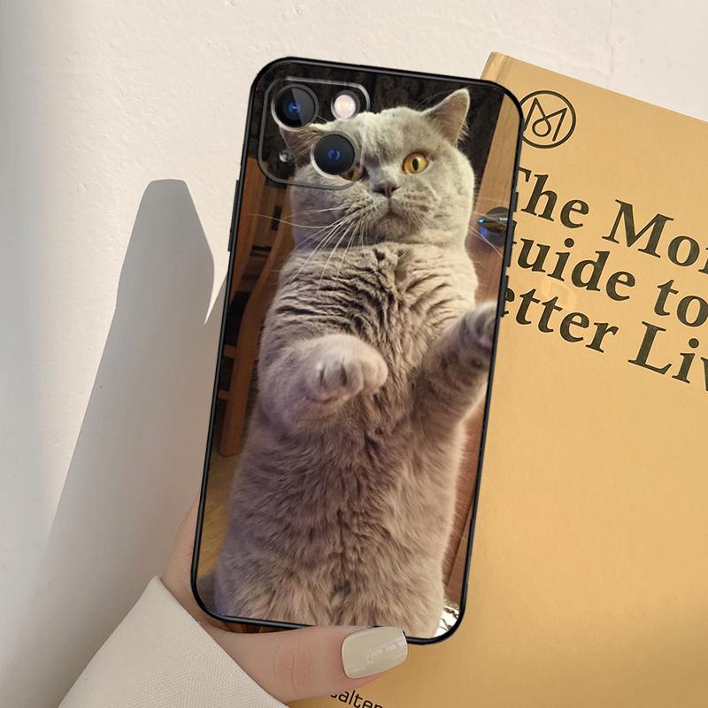 Чехол для телефона Британская короткошерстная кошка Для iPhone 17 16 15 14 11 12 13 Pro Max mini XR 16e 15 16 Plus 17 Air Полное покрытие