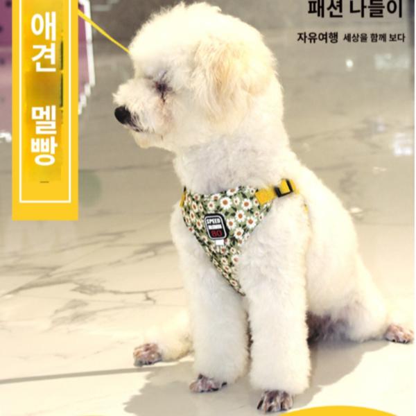 Сумка для владельца, одежда для собак, комплект нагрудных ремней, бронза