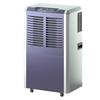 Deye 110L/Day Industrial Commercial Dehumidifier